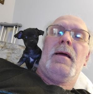 Meet your Posher, Warren